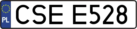 CSEE528