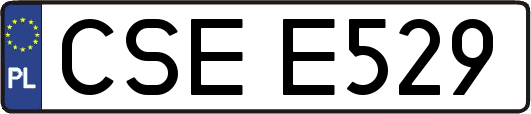 CSEE529