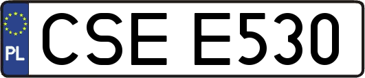 CSEE530