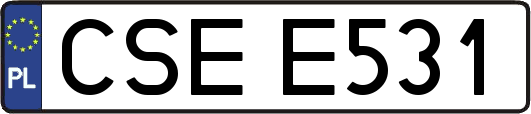 CSEE531