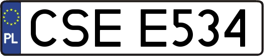 CSEE534