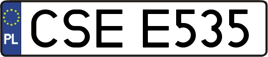 CSEE535