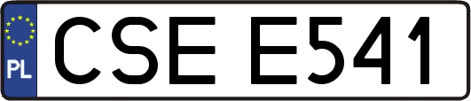 CSEE541