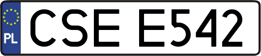 CSEE542