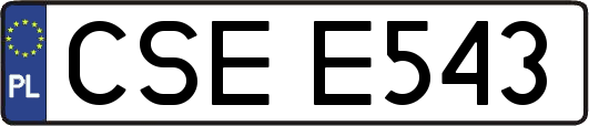 CSEE543