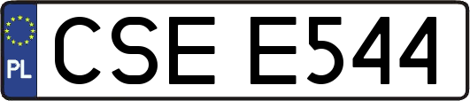 CSEE544