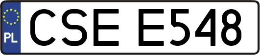 CSEE548