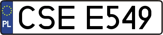 CSEE549
