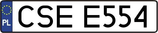 CSEE554