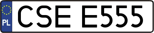 CSEE555