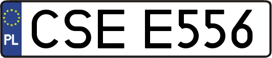 CSEE556