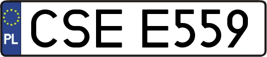 CSEE559
