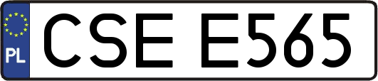 CSEE565