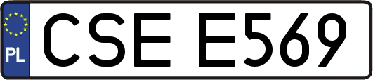 CSEE569