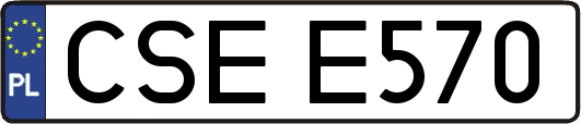 CSEE570