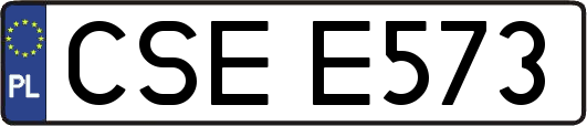 CSEE573