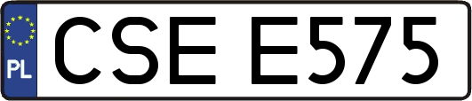 CSEE575