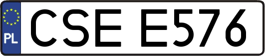 CSEE576