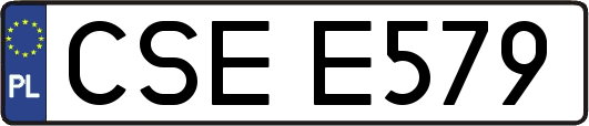 CSEE579