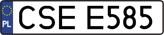CSEE585