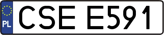 CSEE591