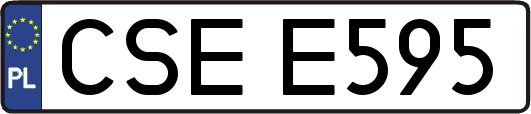 CSEE595