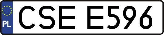 CSEE596