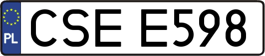 CSEE598