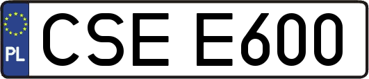 CSEE600