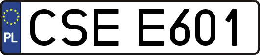 CSEE601