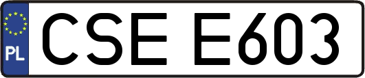 CSEE603
