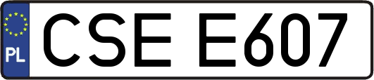 CSEE607
