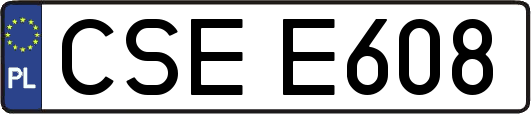 CSEE608
