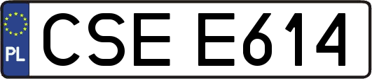 CSEE614