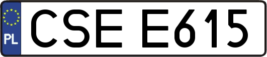 CSEE615