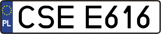CSEE616