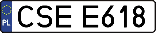 CSEE618