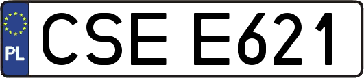 CSEE621