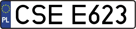 CSEE623