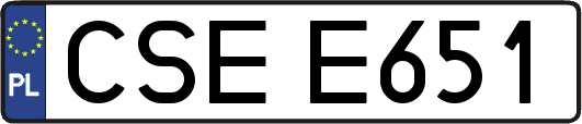 CSEE651