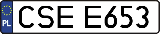 CSEE653