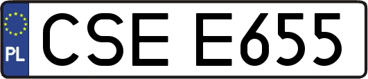 CSEE655