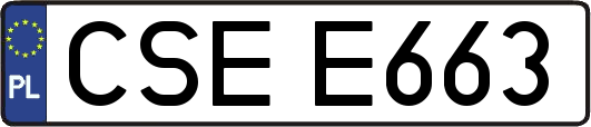 CSEE663