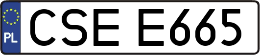 CSEE665