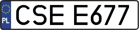 CSEE677