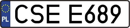 CSEE689