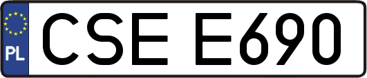 CSEE690