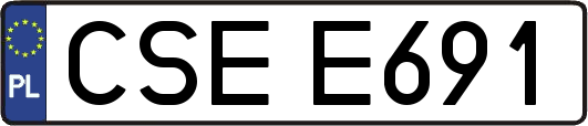 CSEE691