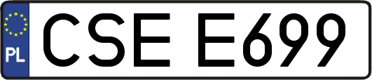 CSEE699