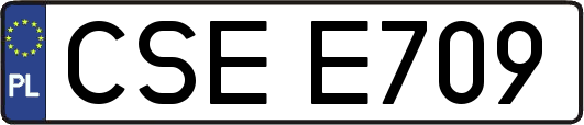 CSEE709